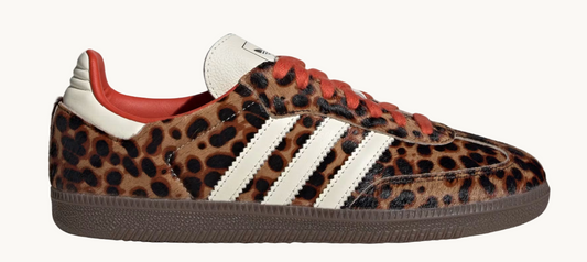 SAMBA OG LÉOPARD JI2734